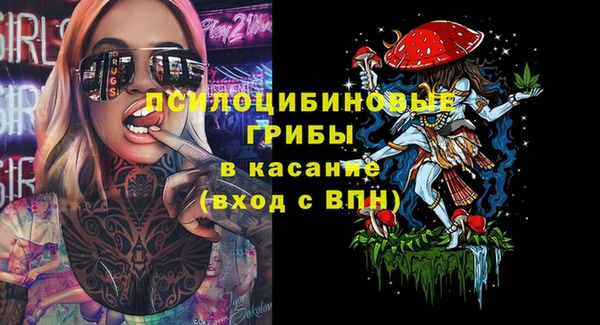 гашик Нефтекумск