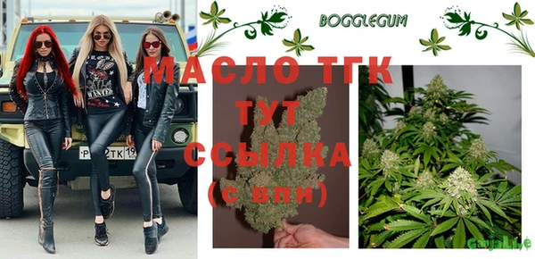 гашик Нефтекумск