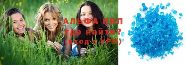 СК Надым
