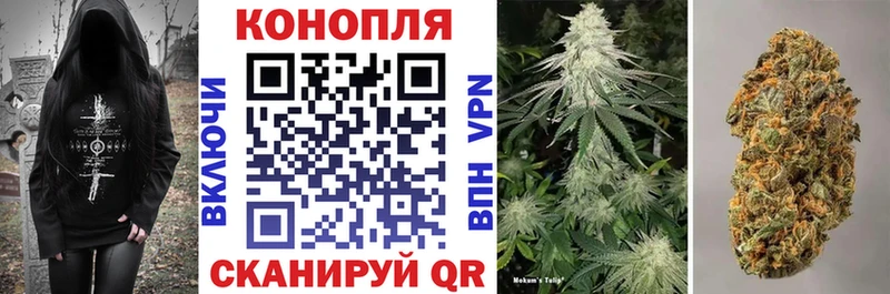 Марихуана тримм  Купить  Сланцы 